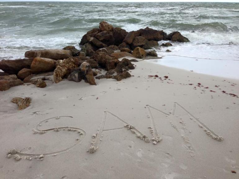 11750633_10102194233211262_3385041201874232167_n