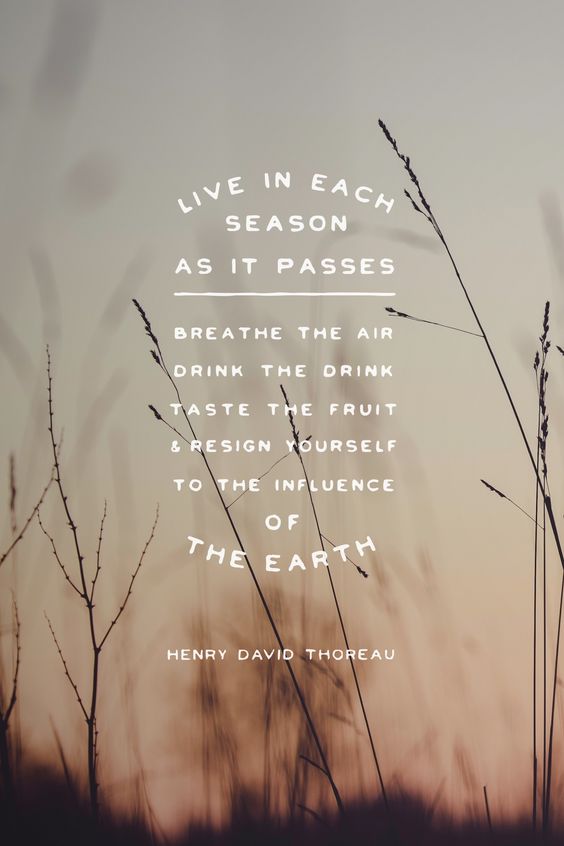 36c4ac0911aa5f4bc47314f3da990ae4